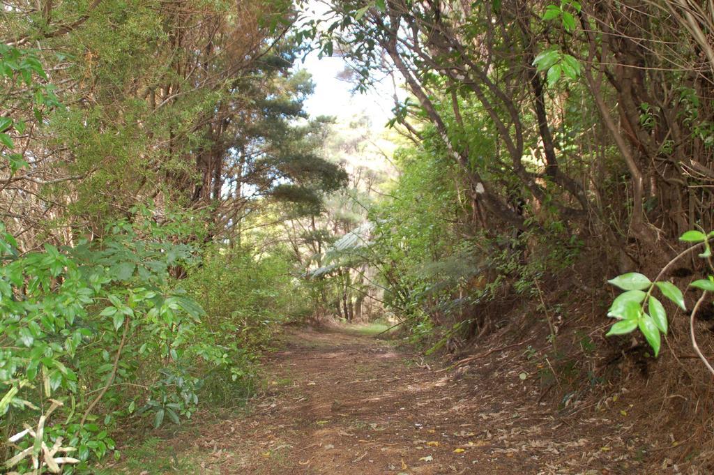 Kohinui Glade Holiday Cottage Parua Bay Екстериор снимка